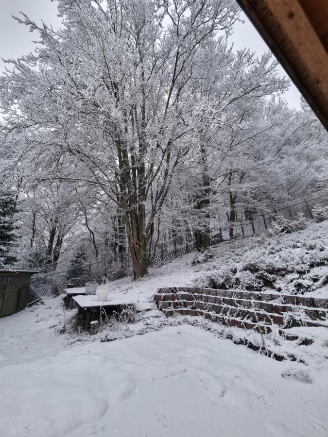 Ferienwohnung Schneeberg Stryck エクステリア 写真